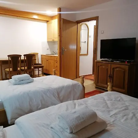 Guest house Rankovic Brzece